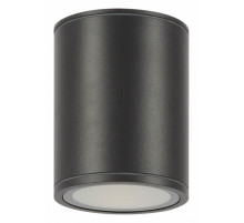 Уличный потолочный светильник Maytoni Bar O306CL-L12GF