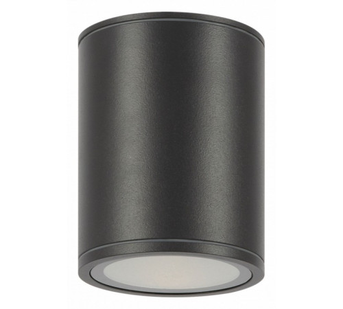 Уличный потолочный светильник Maytoni Bar O306CL-L12GF