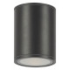 Уличный потолочный светильник Maytoni Bar O306CL-L12GF