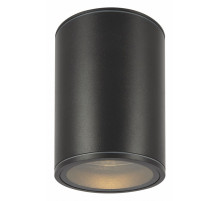 Уличный потолочный светильник Maytoni Bar O306CL-L7GF