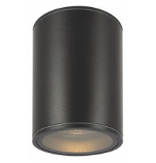 Уличный потолочный светильник Maytoni Bar O306CL-L7GF