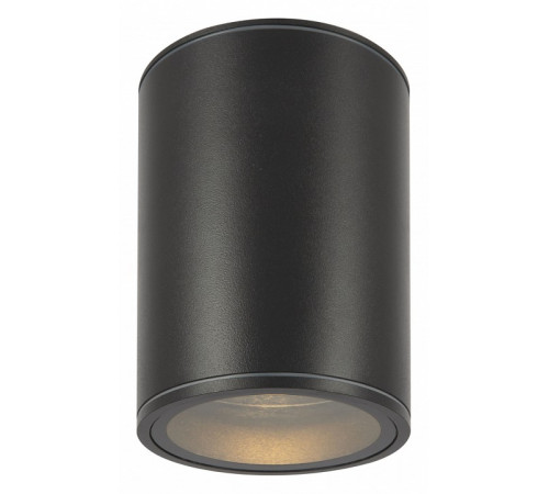 Уличный потолочный светильник Maytoni Bar O306CL-L7GF