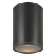 Уличный потолочный светильник Maytoni Bar O306CL-L7GF