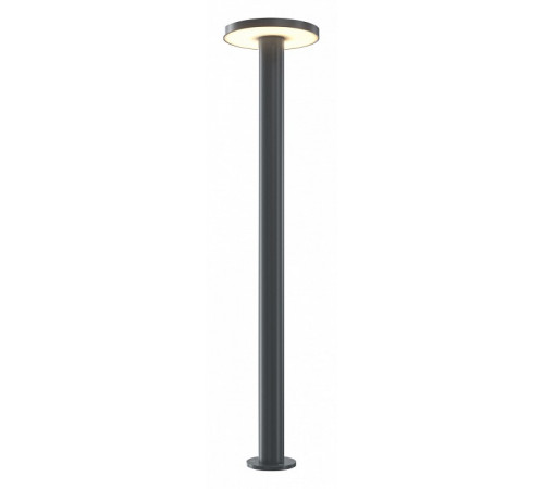 Уличный светильник Maytoni Wald O420FL-L12GF1