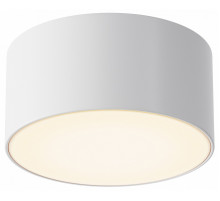 Уличный потолочный светильник Maytoni Zon IP O430CL-L15W3K
