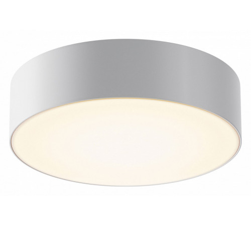 Уличный потолочный светильник Maytoni Zon IP O431CL-L30W3K Уличный потолочный светильник Maytoni Zon IP O431CL-L30W3K