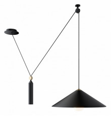 Подвесной светильник Maytoni Technical Peso P080PL-01B