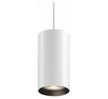 Подвесной светильник Maytoni Vol P100PL-20W4K-B