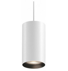 Подвесной светильник Maytoni Vol P100PL-20W4K-B