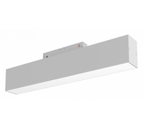 Трековый светильник Maytoni BASIS TR012-2-12W3K-W