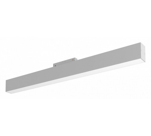 Трековый светильник Maytoni BASIS TR012-2-20W3K-W