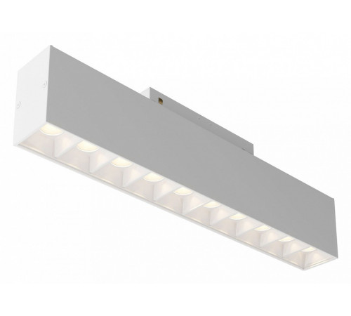 Трековый светильник Maytoni Technical Points TR014-2-20W3K-W