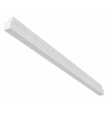 Трековый светодиодный светильник Maytoni Technical Basis TR030-2-24W3K-B