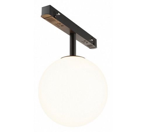 Трековый светильник Technical Maytoni Luna TR038-2-5W3K