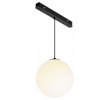 Трековый подвесной светильник Maytoni Luna TR039-2-5W3K