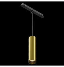 Трековый магнитный светильник Maytoni Focus Led TR041-2-12W3K-BBS