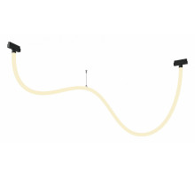 Трековый магнитный светильник Maytoni Tau TR101-2-50W3K-B