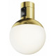 Трековый магнитный светильник Maytoni Luna TR149-1-5W3K-BS