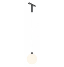 Трековый магнитный светильник Maytoni Luna TR178-1-5WTW-B
