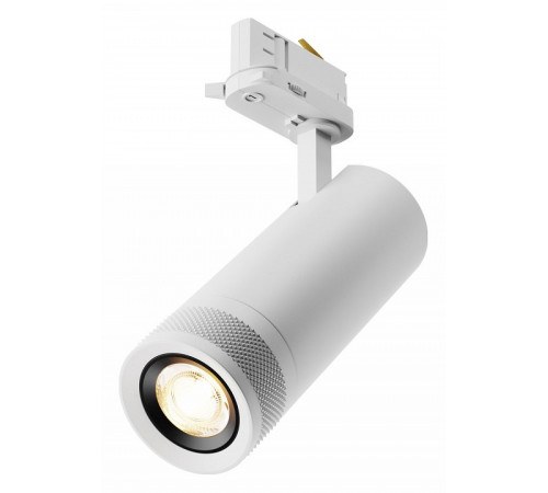 Трековый трехфазный светильник Maytoni Focus Zoom TR198-3-20W2.7K-Z-B