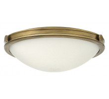 Потолочный светильник Hinkley Collier HK-COLLIER-F-M