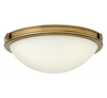 Потолочный светильник Hinkley Collier HK-COLLIER-F-S