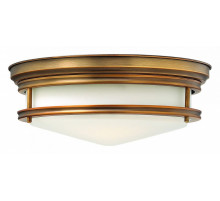 Потолочный светильник Hinkley Hadley HK-HADLEY-F-BR