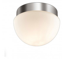 Потолочный светильник Odeon Light Minkar 2443/1A