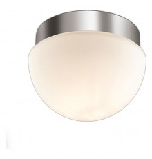 Потолочный светильник Odeon Light Minkar 2443/1A