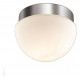 Потолочный светильник Odeon Light Minkar 2443/1A