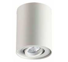 Потолочный светильник Odeon Light Pillaron 3564/1C