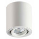 Потолочный светильник Odeon Light Tuborino 3567/1C