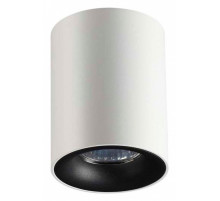 Потолочный светильник Odeon Light Tuborino 3569/1C
