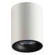 Потолочный светильник Odeon Light Tuborino 3569/1C