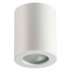 Потолочный светильник Odeon Light Aquana 3571/1C