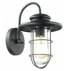 Уличный настенный светильник Odeon Light Helm 4171/1W