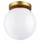 Потолочный светильник Odeon Light 4247/1C