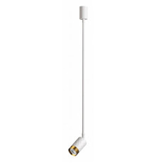 Подвесной светильник Odeon Light Ad Astrum 4350/1C