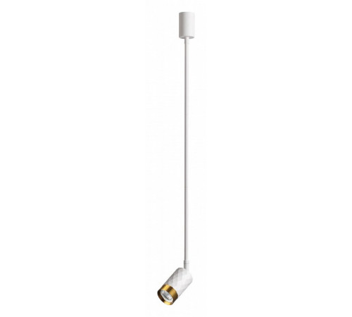 Подвесной светильник Odeon Light Ad Astrum 4350/1C Подвесной светильник Odeon Light Ad Astrum 4350/1C