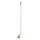Подвесной светильник Odeon Light Ad Astrum 4350/1C