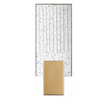 Настенный светильник Odeon Light Ricci 4362/5WL