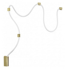 Настенно-потолочный светильник Odeon Light Corda 4397/30CL