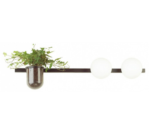 Настенный светильник Odeon Light Flower 4681/2W Настенный светильник Odeon Light Flower 4681/2W