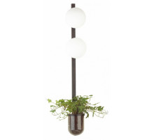 Настенный светильник Odeon Light Flower 4681/2WA