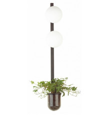 Настенный светильник Odeon Light Flower 4681/2WA