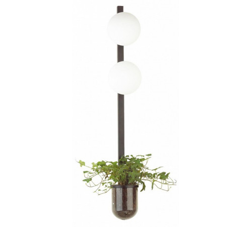 Настенный светильник Odeon Light Flower 4681/2WA