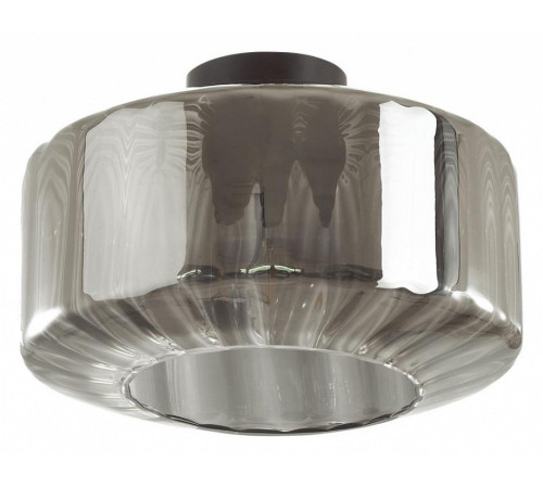 Потолочный светильник Odeon Light BINGA 4746/1C Потолочный светильник Odeon Light BINGA 4746/1C