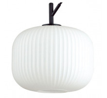 Подвесной светильник Odeon Light 4753/1