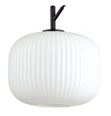 Подвесной светильник Odeon Light 4753/1