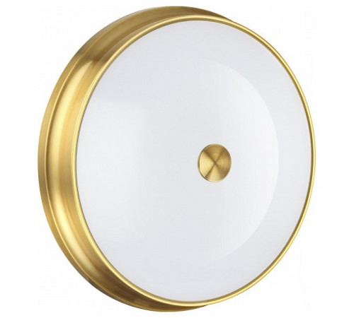 Потолочный светильник Odeon Light 4824/4C